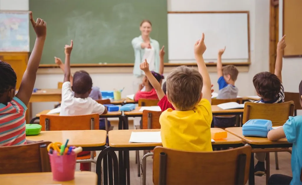 Ilustración educativa divertida